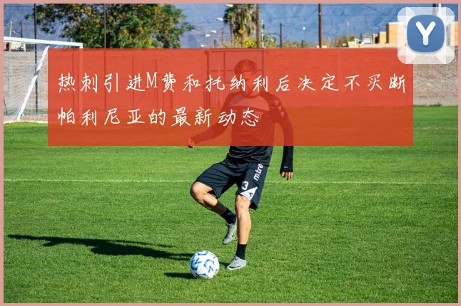 热刺引进M费和托纳利后决定不买断帕利尼亚的最新动态